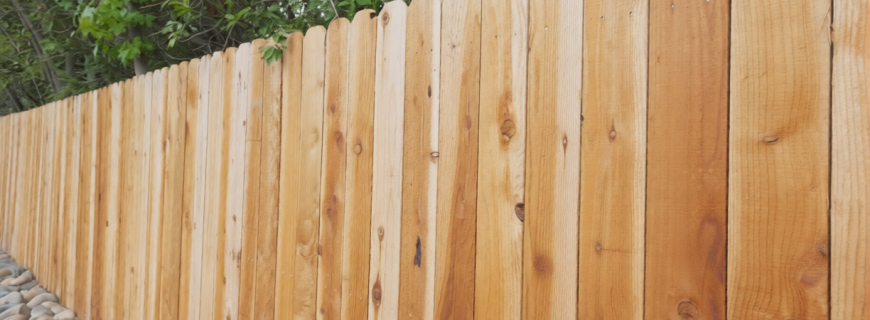 szvq6f8ytdrmr0cwvpw8sdyezr