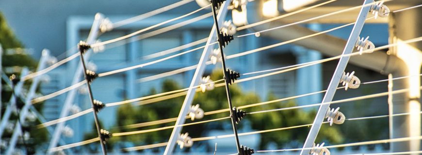 wmremove-transformed (64)